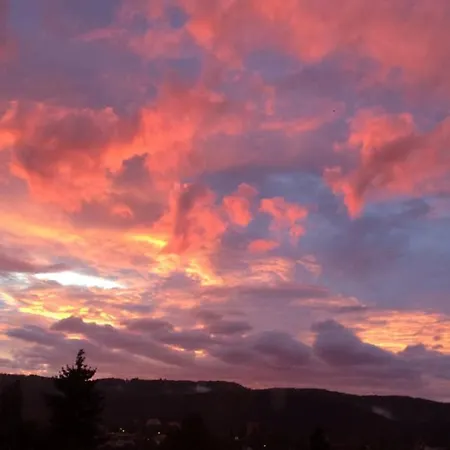 Wohlfühloase Mit Blick Auf *